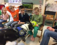 Therapiehund – Rodney