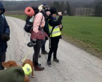Wandertag der Wölfe